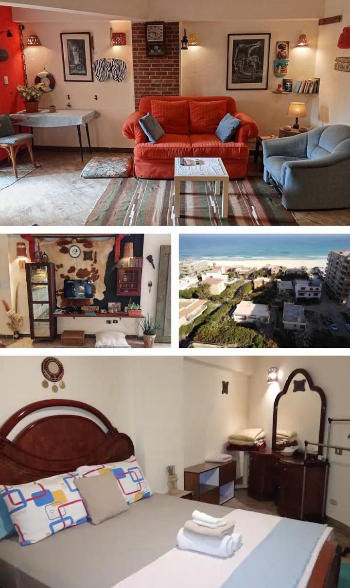 Apartament Paradise *