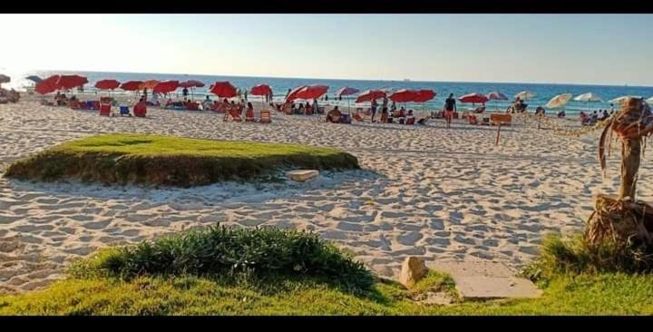 Paradise * Alexandria