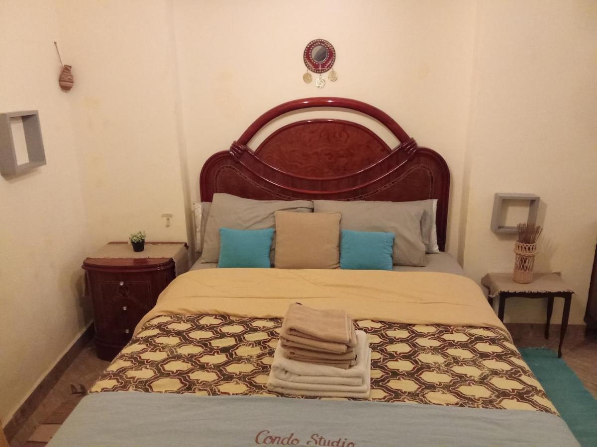 Apartament Paradise Alexandria